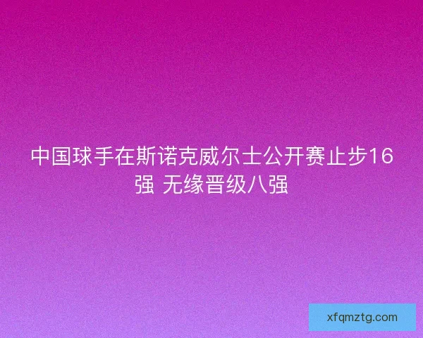中国球手在斯诺克威尔士公开赛止步16强 无缘晋级八强