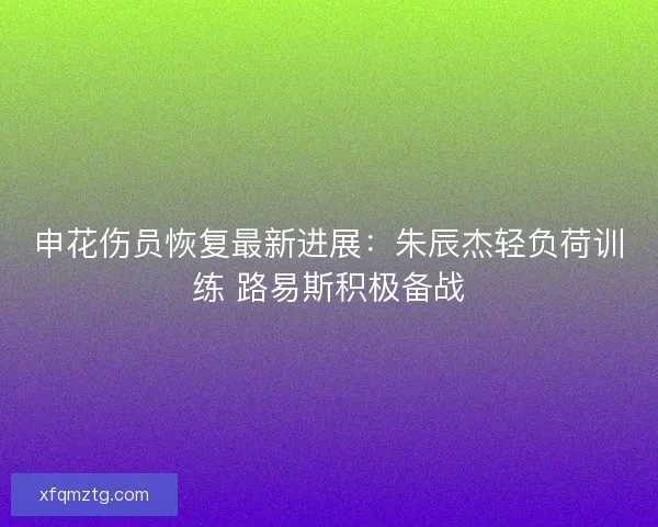 申花伤员恢复最新进展：朱辰杰轻负荷训练 路易斯积极备战