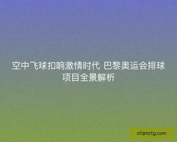 空中飞球扣响激情时代 巴黎奥运会排球项目全景解析