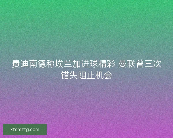 费迪南德称埃兰加进球精彩 曼联曾三次错失阻止机会